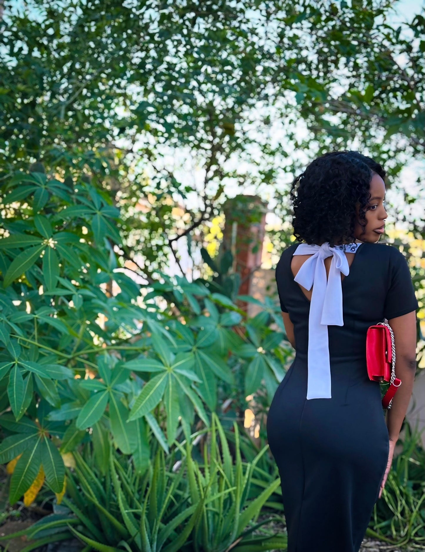 Alaine Dress