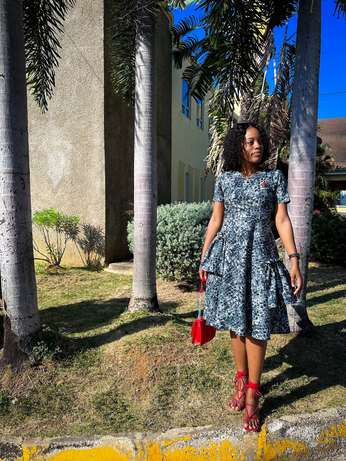 Elise Denim Dress