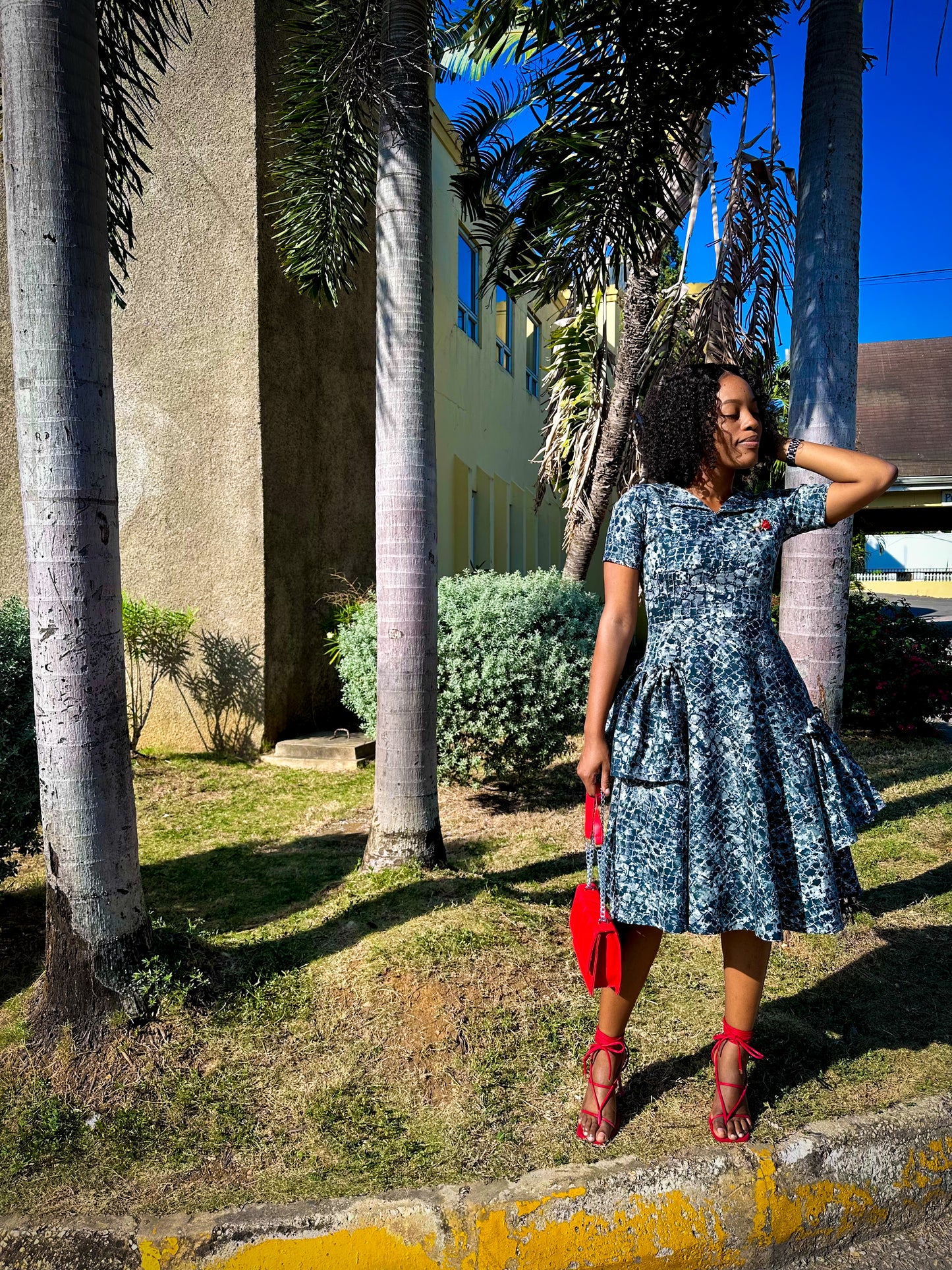 Elise Denim Dress
