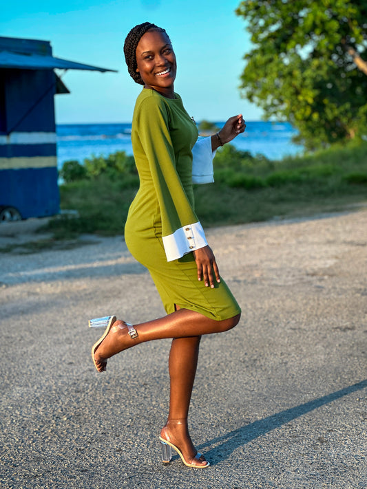 Timaree Dress